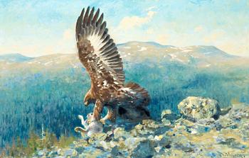135. Thure Wallner, Golden Eagle with prey.