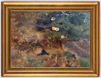 Bruno Liljefors, Partridge with chicks.