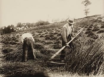 332. Eugène Atget, "Faucheur", before 1900.