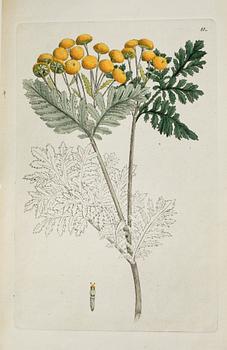 FLORA, "Svensk Botanik", I-V bandet, Stockholm 1802-1807.