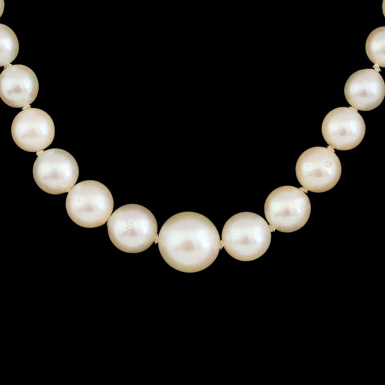 COLLIER, pärlor, lås av silver.