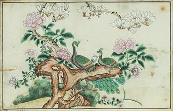 A watercolour painting of peacocks in a garden by unidentified artist, in a Gustavian frame, 18th century.