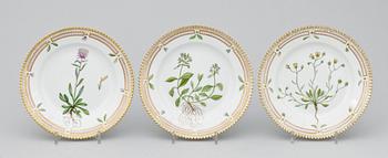 ASSIETTER, 7st, porslin. "Flora Danica", Royal Copenhagen, Danmark.