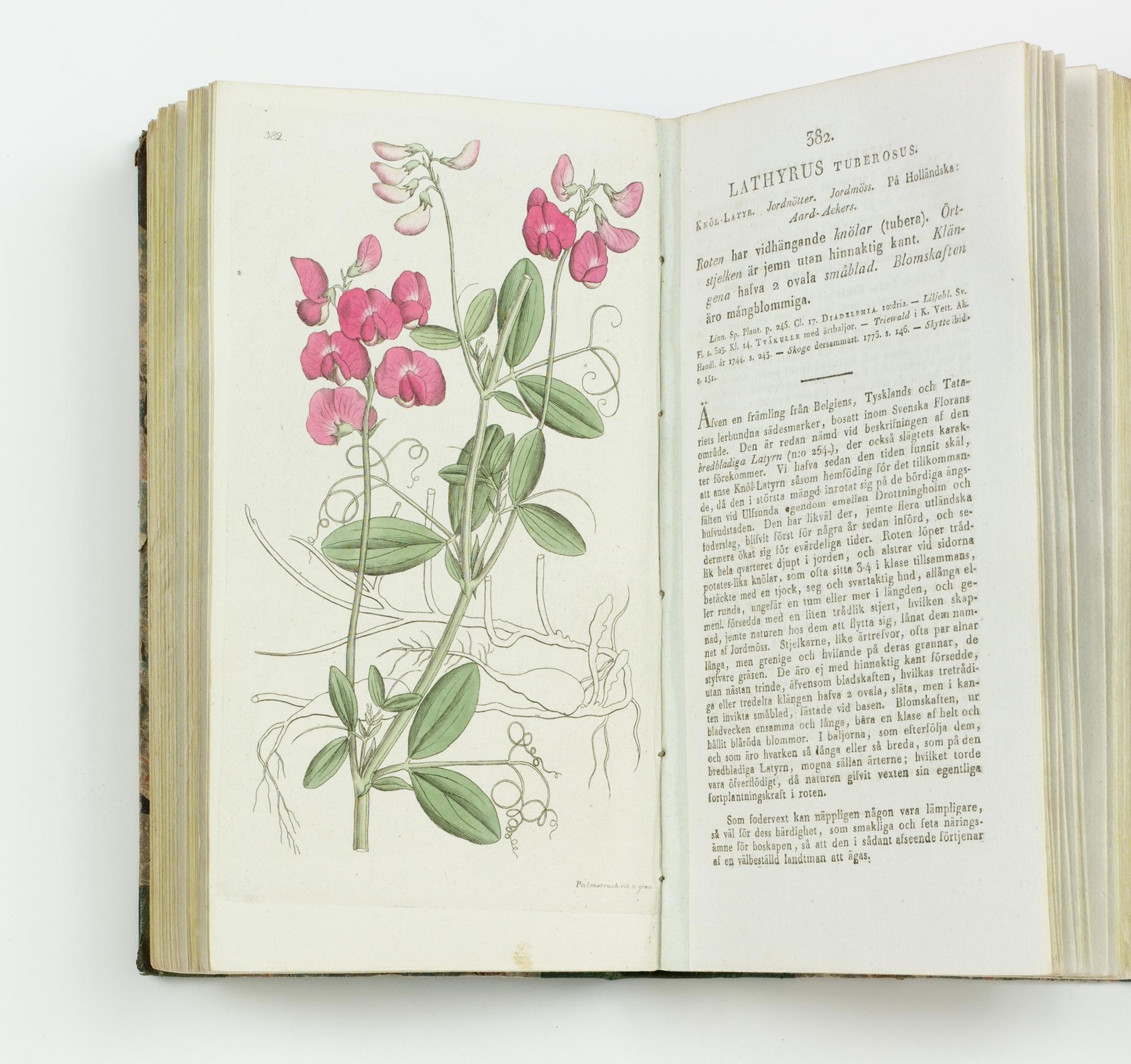 JOHAN WILHELM PALMSTRUCH SVENSK BOTANIK. 1-11[all published].