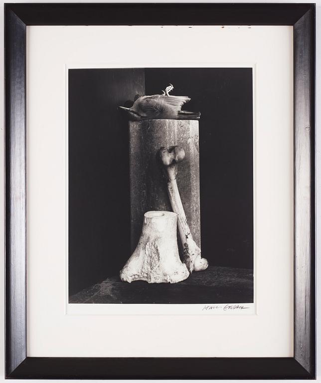 Hans Gedda, "Stilleben med död fågel, benknotor och stenfris", 1996.