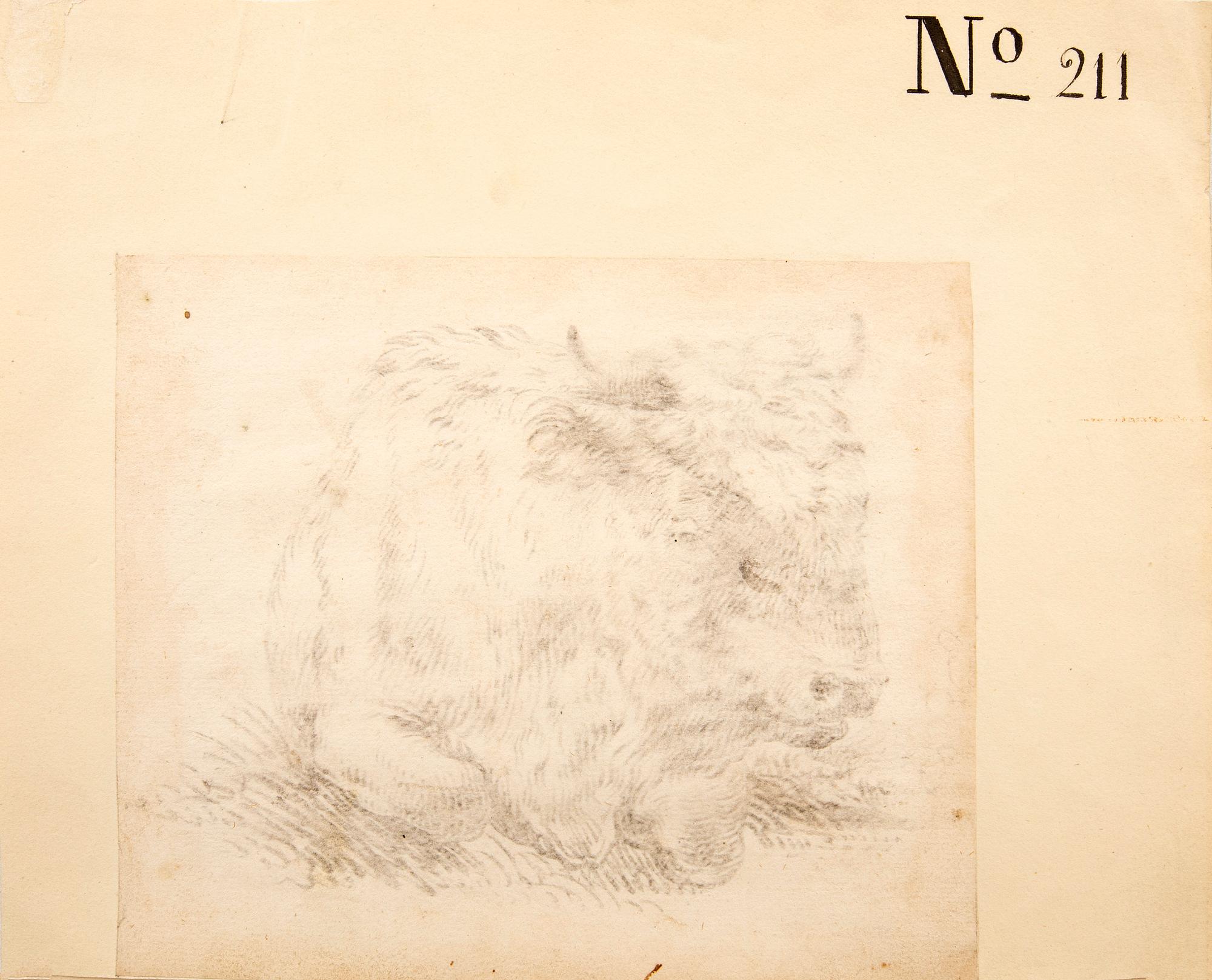 Johan Heinrich Roos, animal studies, three pieces, 17th century.