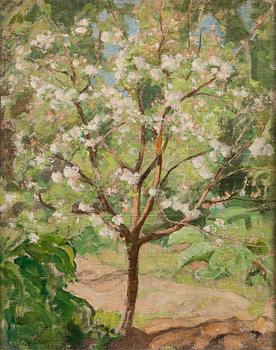 PEKKA HALONEN, APPLE TREE IN BLOSSOM.