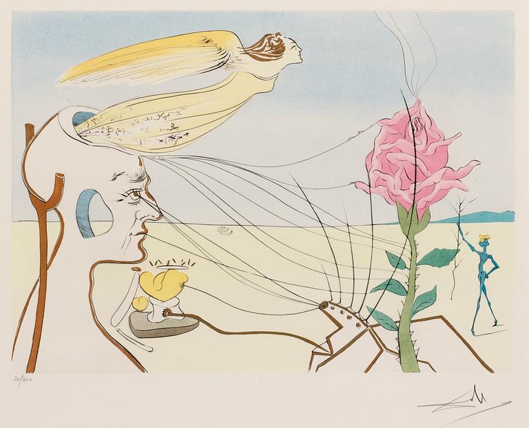 Salvador Dalí, "La Rose (Dream)".