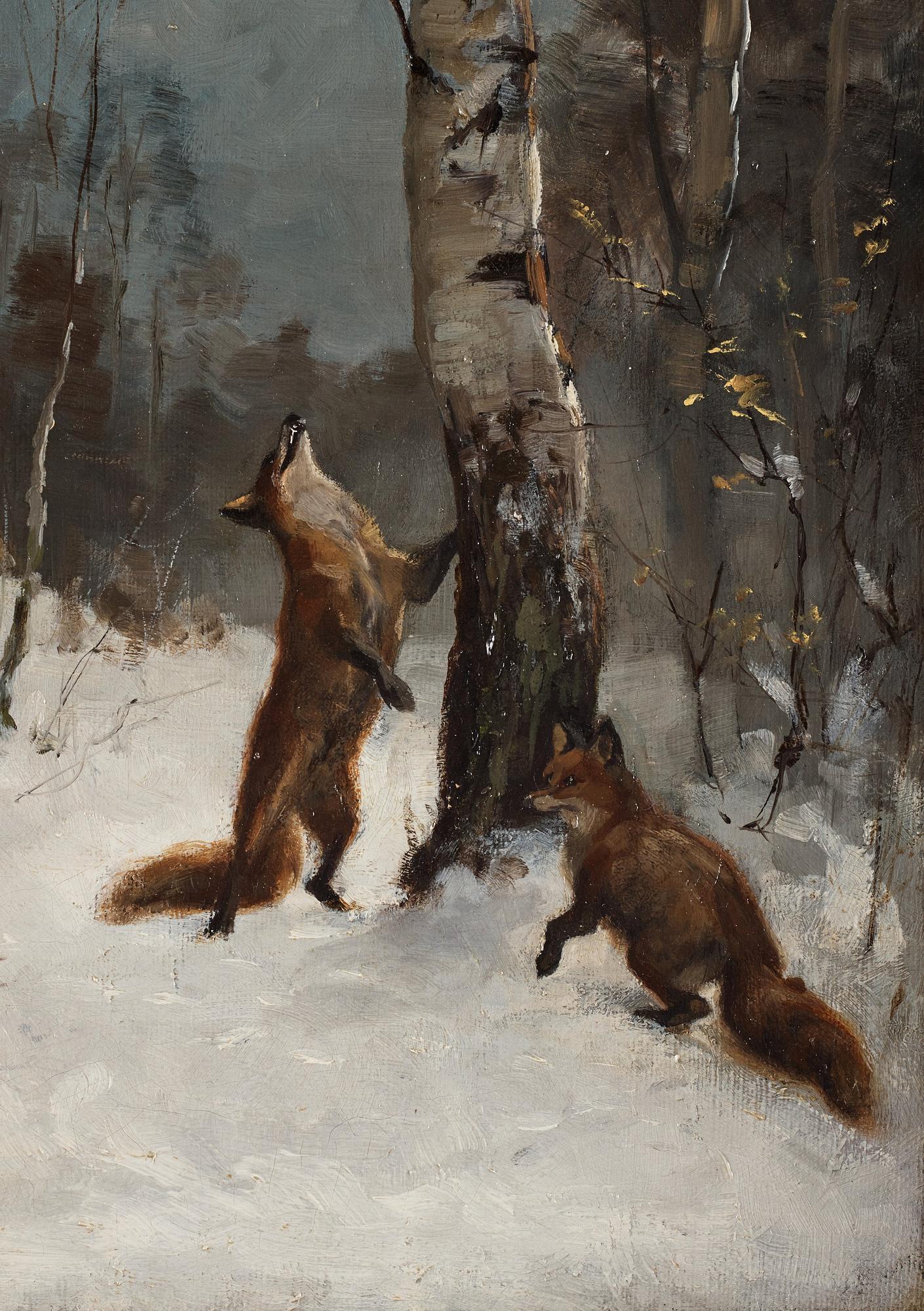 Bruno Liljefors, "Rävar och katt, vinterlandskap" (Foxes and cat, winter landscape).