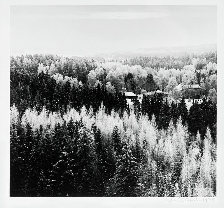 Taneli Eskola, "JANAKKALA, LEPPÄKOSKI".