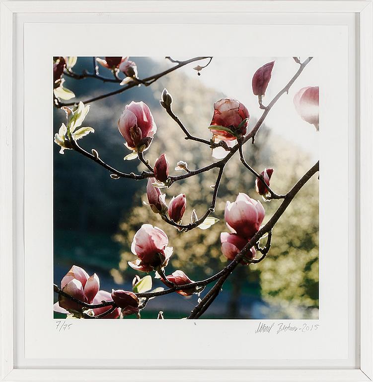 MIKAEL BERTMAR, fotografi, signerat, numrerad 7/75 och daterad 2015.