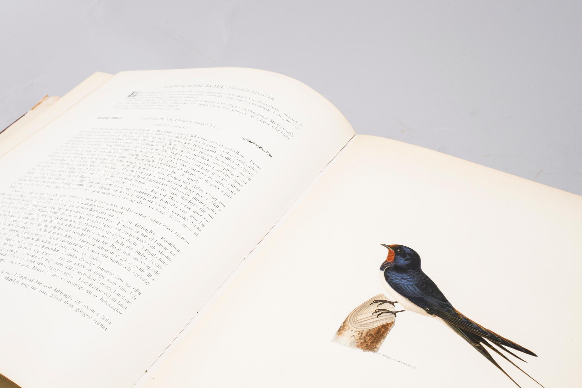M, W & F VON WRIGHT, books, three volumes, 'Svenska fåglar', A. Börtzells tryckeri AB Stockholm, 1924-1929.