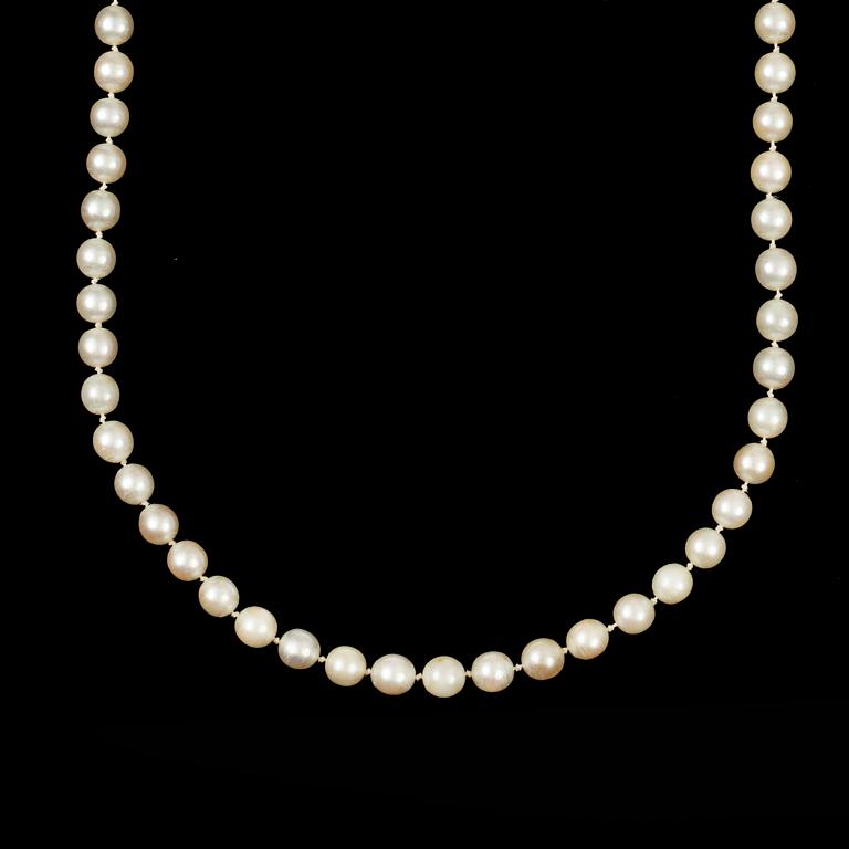 COLLIER, odlade saltvattenspärlor, lås i 18K vitguld med 6 små diamanter.