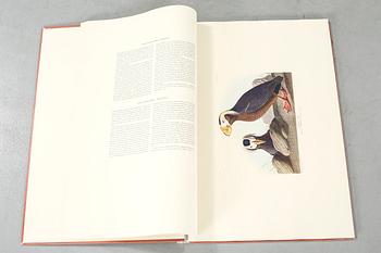 The book "The Birds of America", volume II, by John James Audubon, numbered 178/500, 1973.
