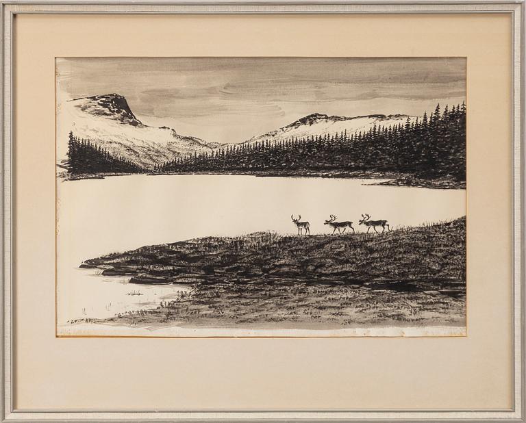 Berry Kurkkio, Reindeer by a mountain lake.