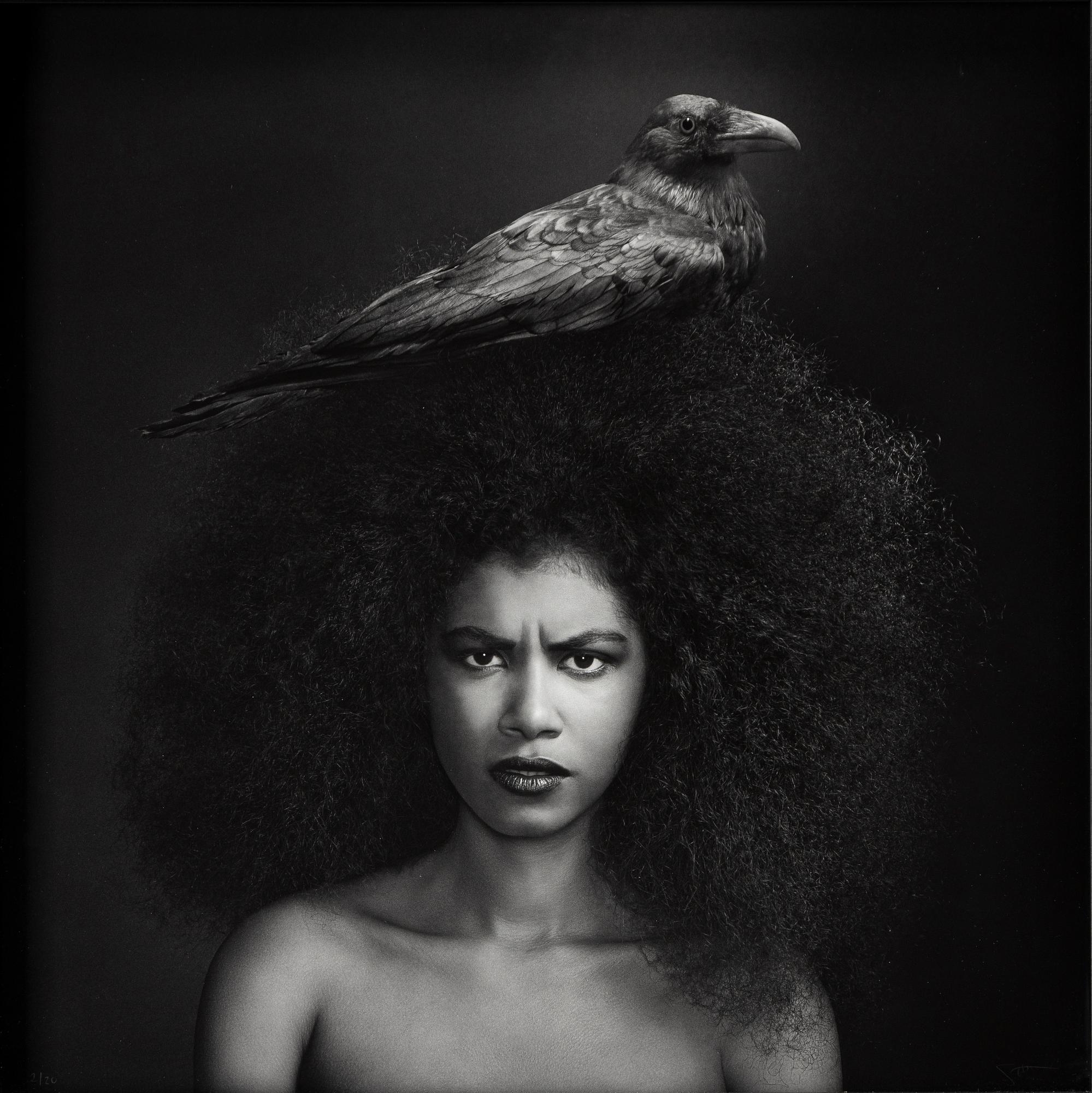 Sonja Hesslow, "Fly Away My Anger",2014.