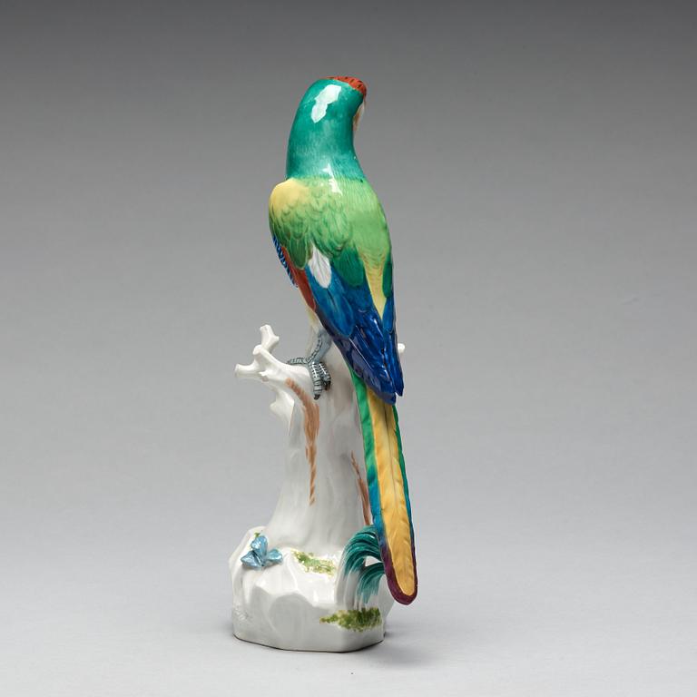 A Meissen figure of a parrot, circa 1900.