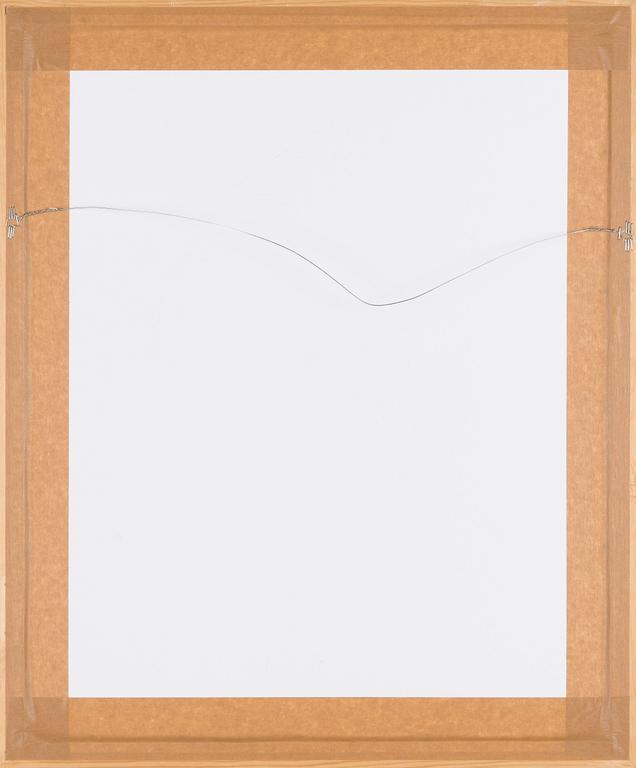 Canal Cheong-Jagerroos, Sommitelma.