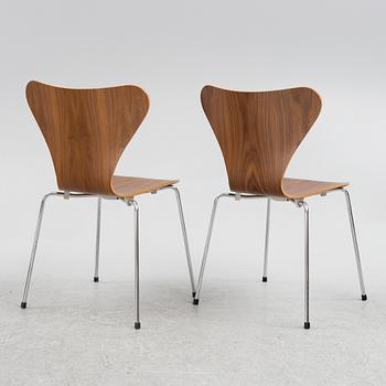 Arne Jacobsen, stolar, 6 st, "Sjuan", Fritz Hansen, Danmark,.