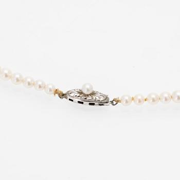 Necklace of graduated cultured pearls with a silver clasp.