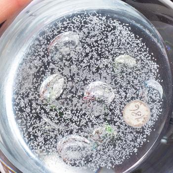 Vicke Lindstrand, Göran Wärff, Caithness of Scotland, five glass paper weights, signed.