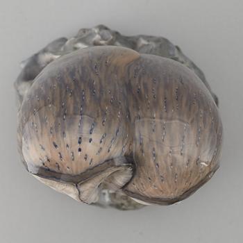 A Royal Copenhagen porcelain figure of two owls, Denmark, 20th Century.