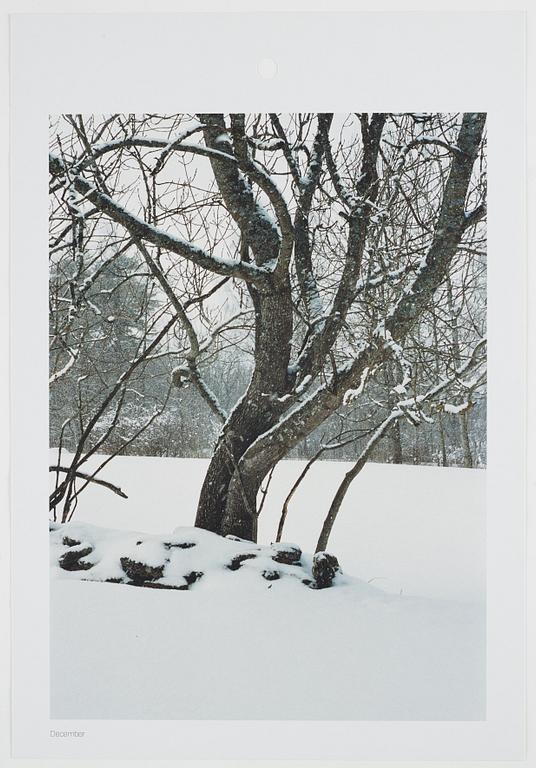ANDREAS ERIKSSON, portfolio. Signed AE inside the box and numbered 18/250.