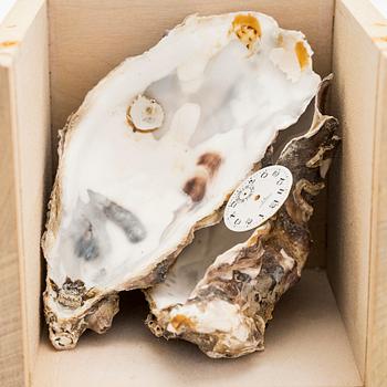 Juhani Harri, Tidsbox.