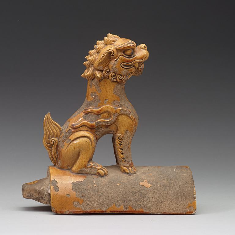 A yellow glazed roof tile figure of a Buddhist lion, Ming dynasty (1368-1644).