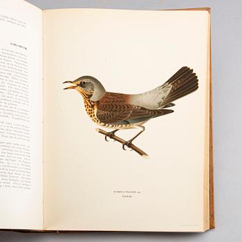 M, W & F VON WRIGHT, 'Svenska fåglar I-III,' Stockholm 1927-1929.