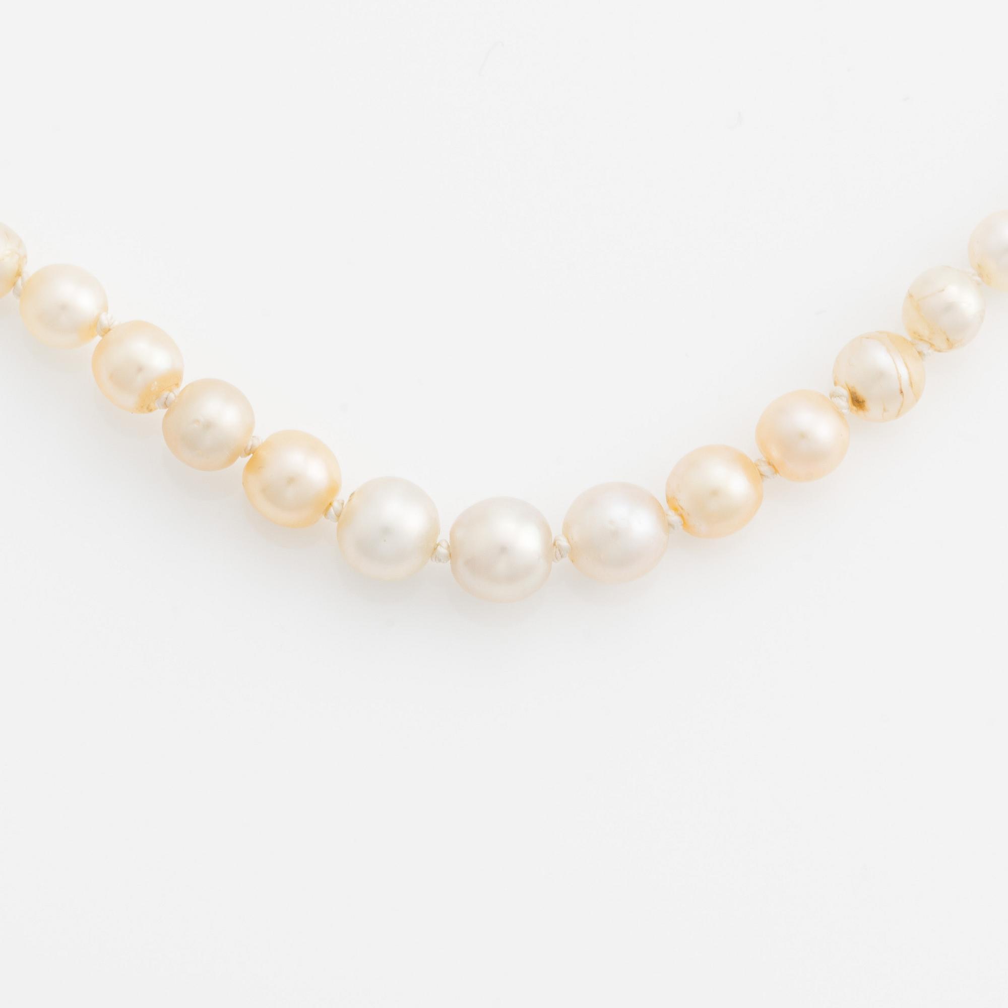 Pärlcollier, med doserade pärlor, lås guld med två gammalslipade diamanter och rubin.