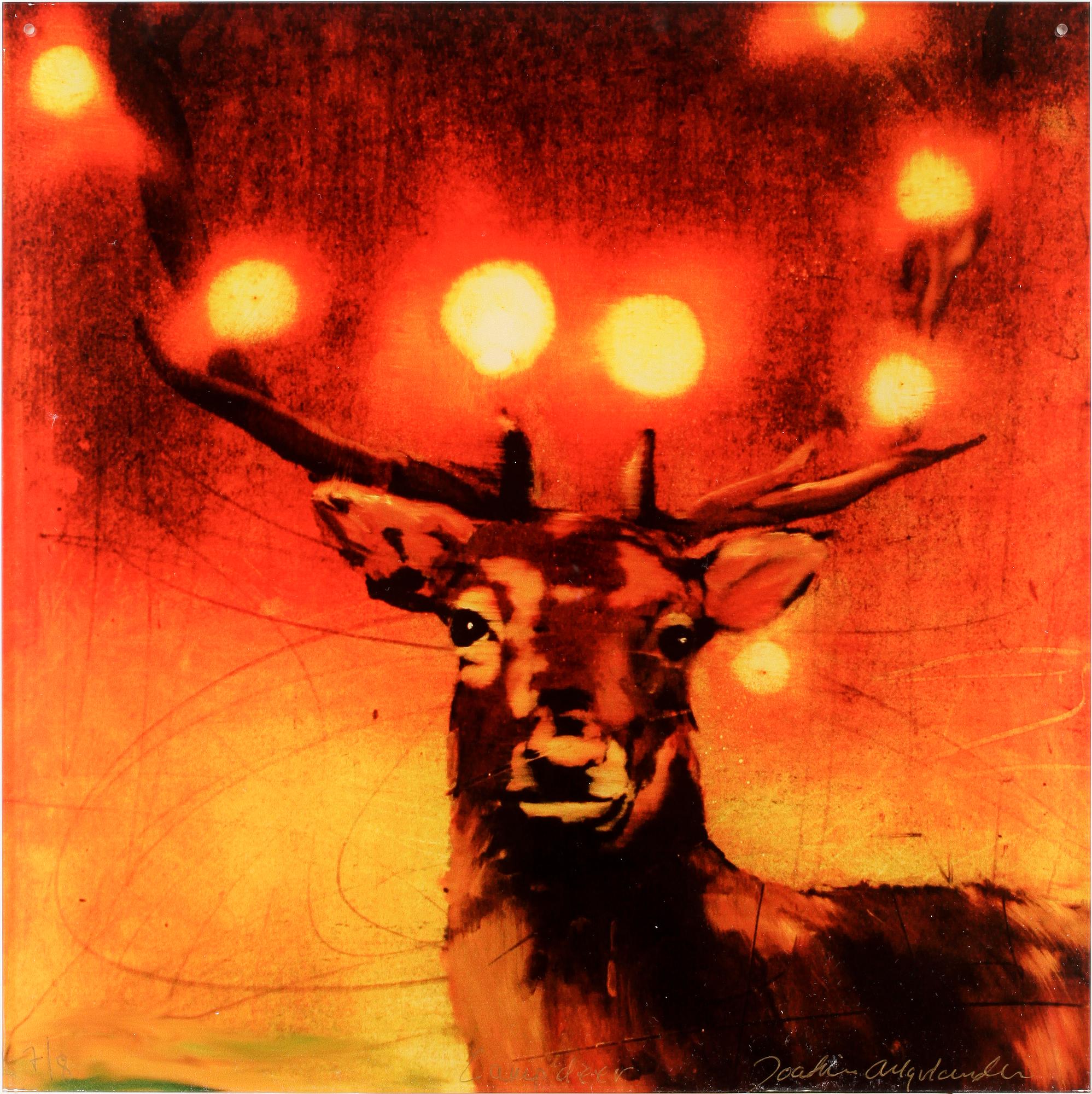 JOAKIM ALLGULANDER, litografiskt tryck på plexiglas, sign o numr 7/8.
Beskrivnin.