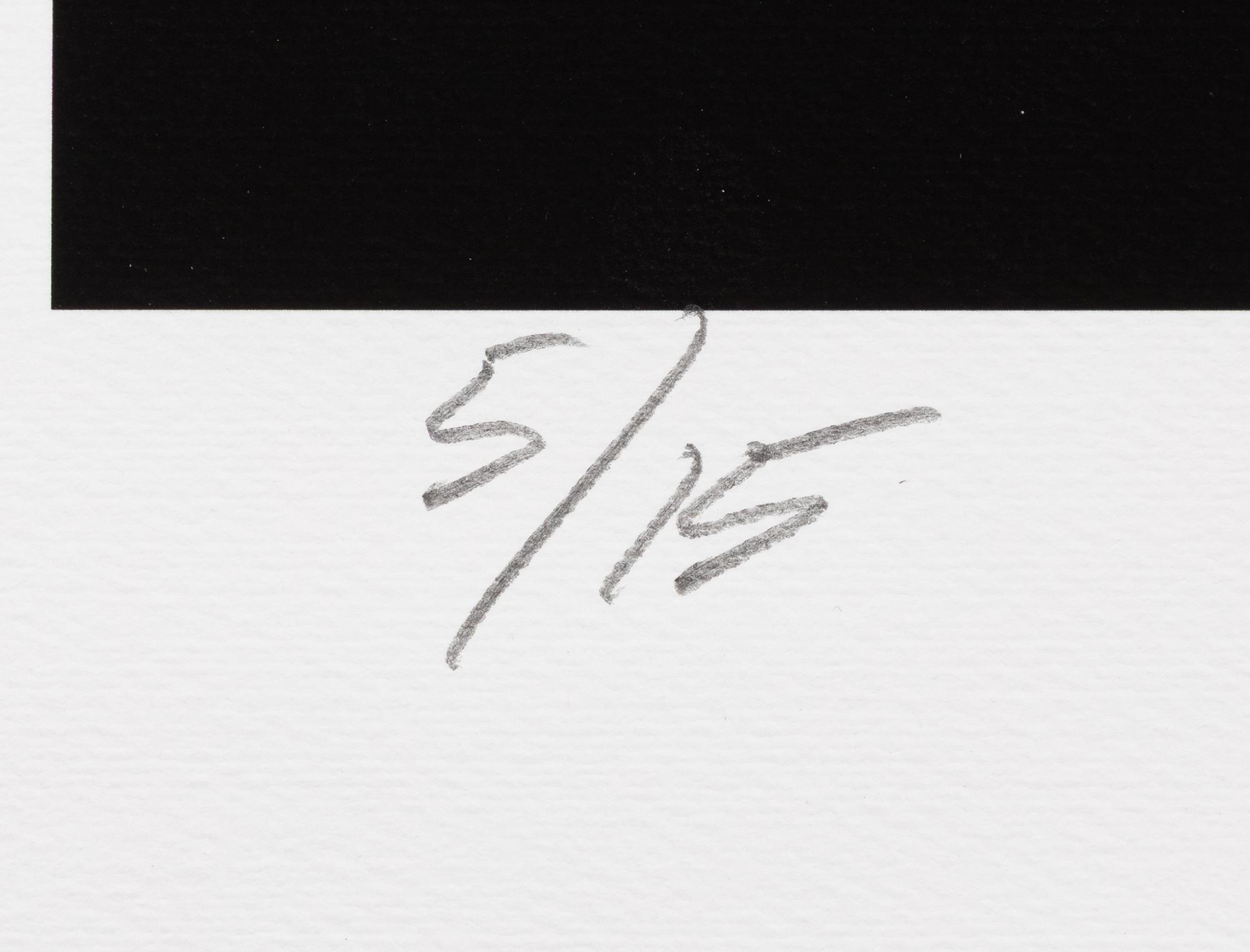 Kenneth Olausson, "Ronnie Peterson victories at Monza 1974".