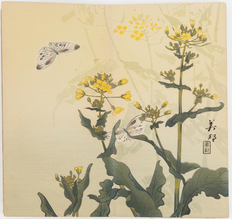 Bihō Takahashi (aktive around 1890-1930), album with 12 woodblock prints, publisher Heikichi Matsuki.