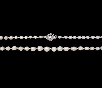 88. NECKLACE, natural freshwater pearls, 7,0-4,2 mm, clasp with brilliant cut diamonds, tot. app. 0.80 cts. 1930's.