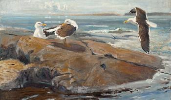 Lennart Segerstråle, SEAGULLS.