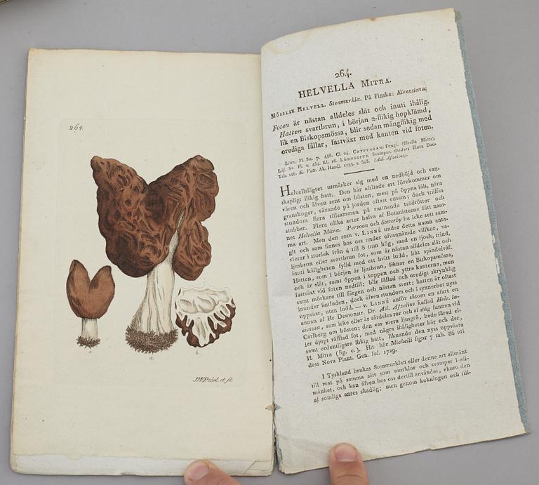 JOHAN WILHELM PALMSTRUCH, "Svensk Botanik, vol I-V. 1803-1805.