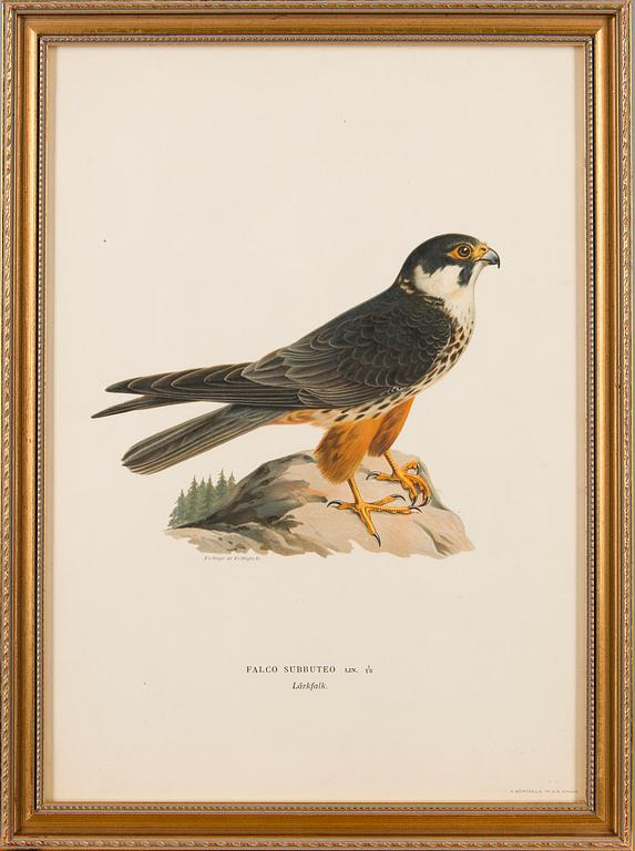 LITHOGRAPHS, 4 pcs, after Wilhelm von Wright and Bror Hallberg. A. Börtzell, Stockholm.