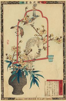 Bairei Kono (1844 - 1895), three coioured woodblock prints, Japan, second half of the 19th century.