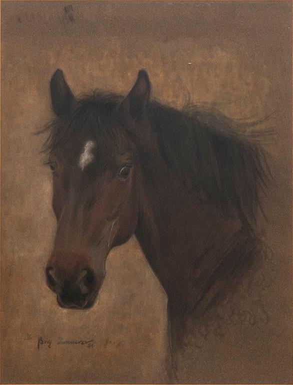 Okänd konstnär 1800/1900-tal , hästporträtt.