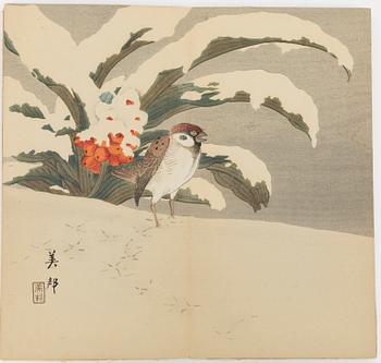 Bihō Takahashi (aktive around 1890-1930), album with 12 woodblock prints, publisher Heikichi Matsuki.
