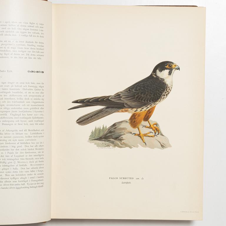 Bröderna von Wright, bokverk, 3 band, "Svenska fåglar", A. Börtzells tryckeri AB, Stockholm, 1927-1929.