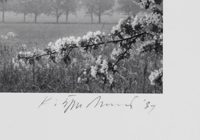 Kristoffer Albrecht, Untitled, 1989.