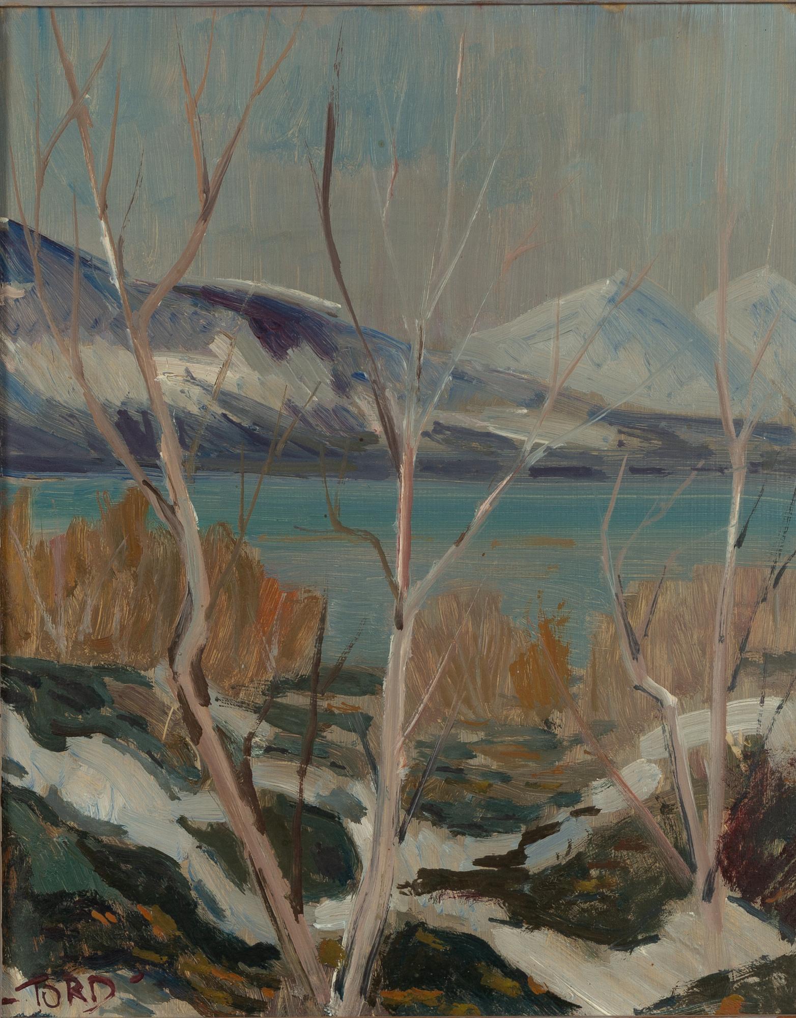 Tord Leander-Engström,  Fjällandskap.