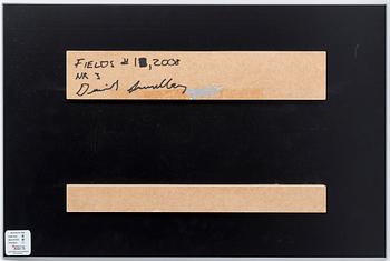 DANIEL SANDBERG, C-print, signerad och numrerad nr 3 a tergo.