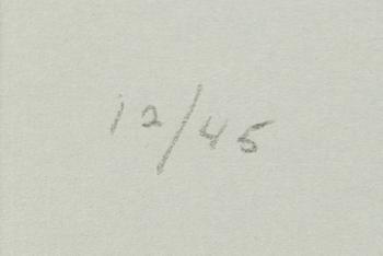 Jan Tarasin, Untitled.