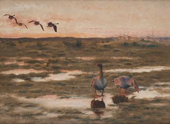 264. Bruno Liljefors, Landscape with Geese.