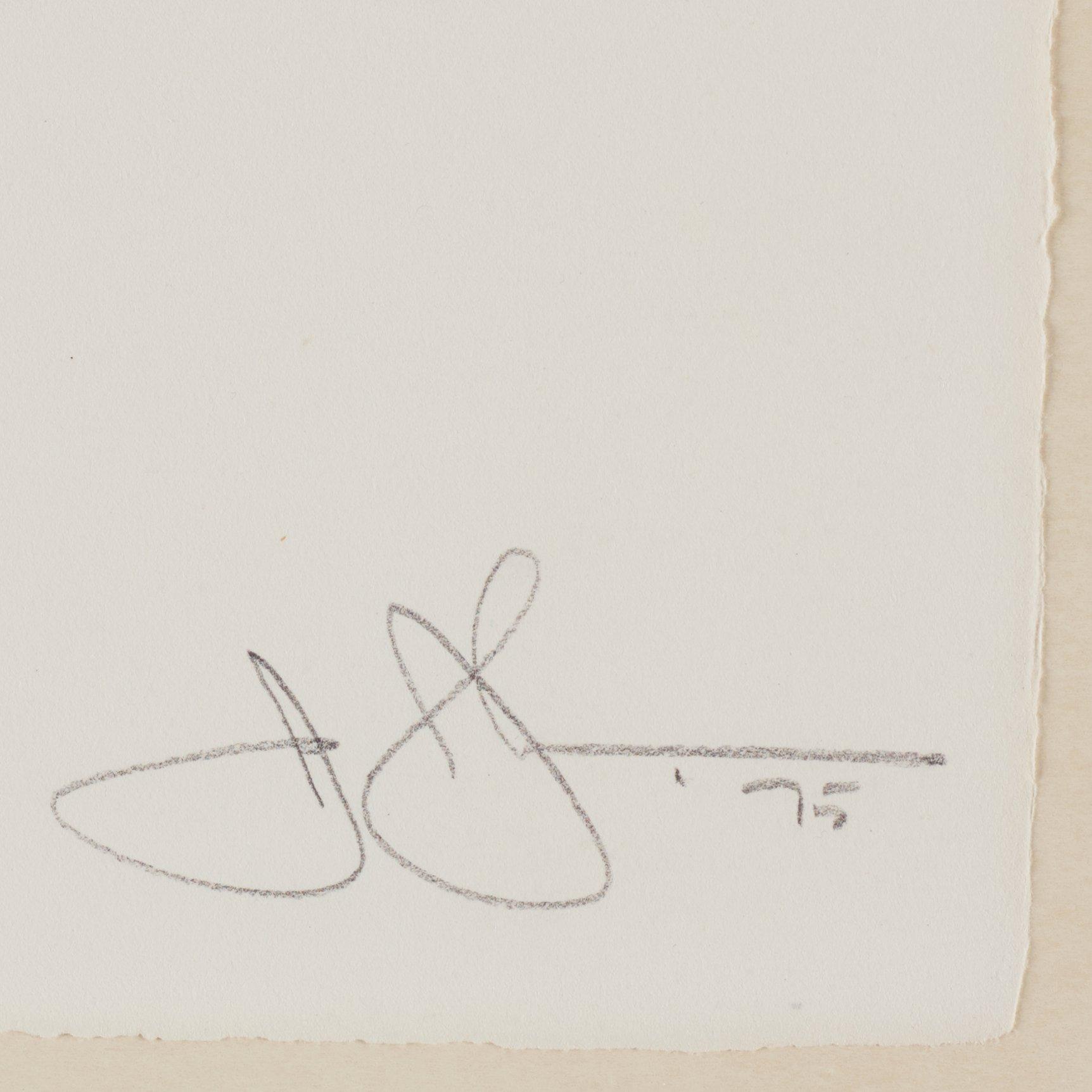 Jasper Johns, "9" from "0-9 (A set of Ten Numerals)".