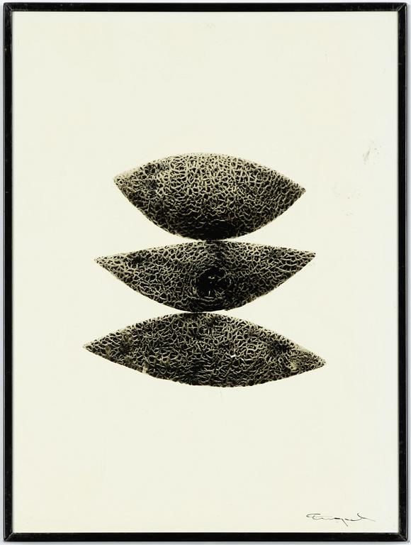 Ingvar Eriksson, "melon".