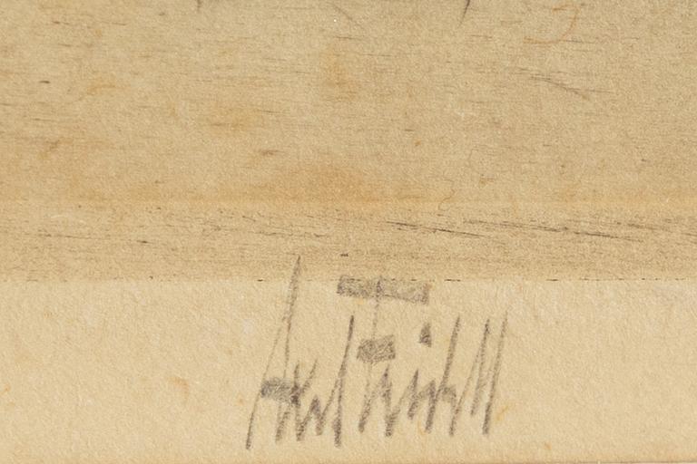 Axel Fridell, "Le Pont Marie".